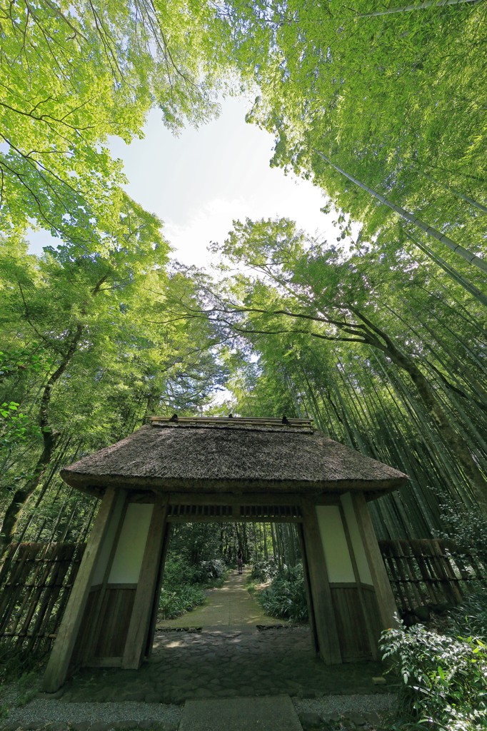 2015.8.22-10