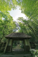 2015.8.22-10