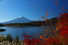 2014.11.15-9