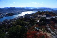 2013.11.23-10