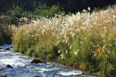 2012.11.25-19 2012.11.25-19