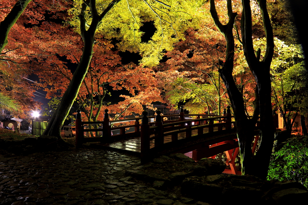 2012.11.17-3