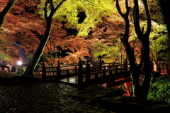 2012.11.17-3