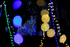 2012.11.24-8