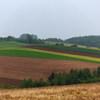 2014.8.24-5