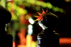 2012.11.17-5