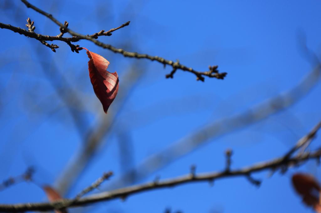 2013.11.23-35