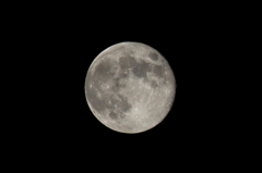 ブルームーン翌日の月 ブルームーン翌日の月
