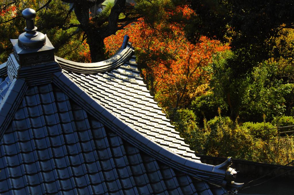 2013.11.23-14