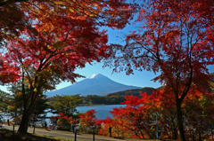 2014.11.15-10