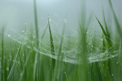 2015.9.4-1