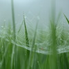2015.9.4-1