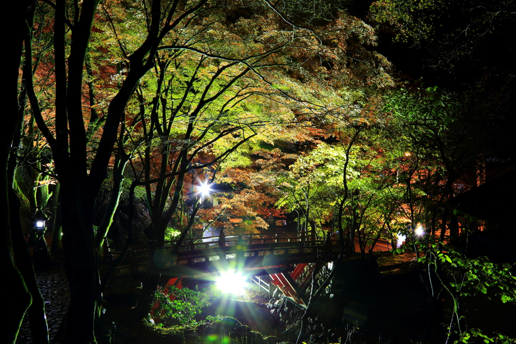 2012.11.17-4