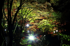 2012.11.17-4
