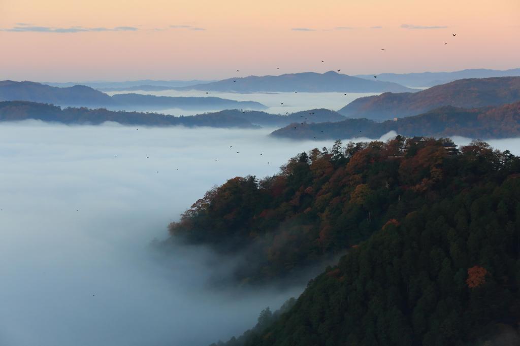 2013.11.23-6