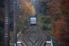 2012.11.25-10