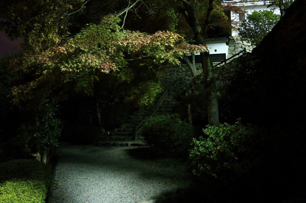 2012.11.9-2