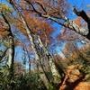2015.10.25-7