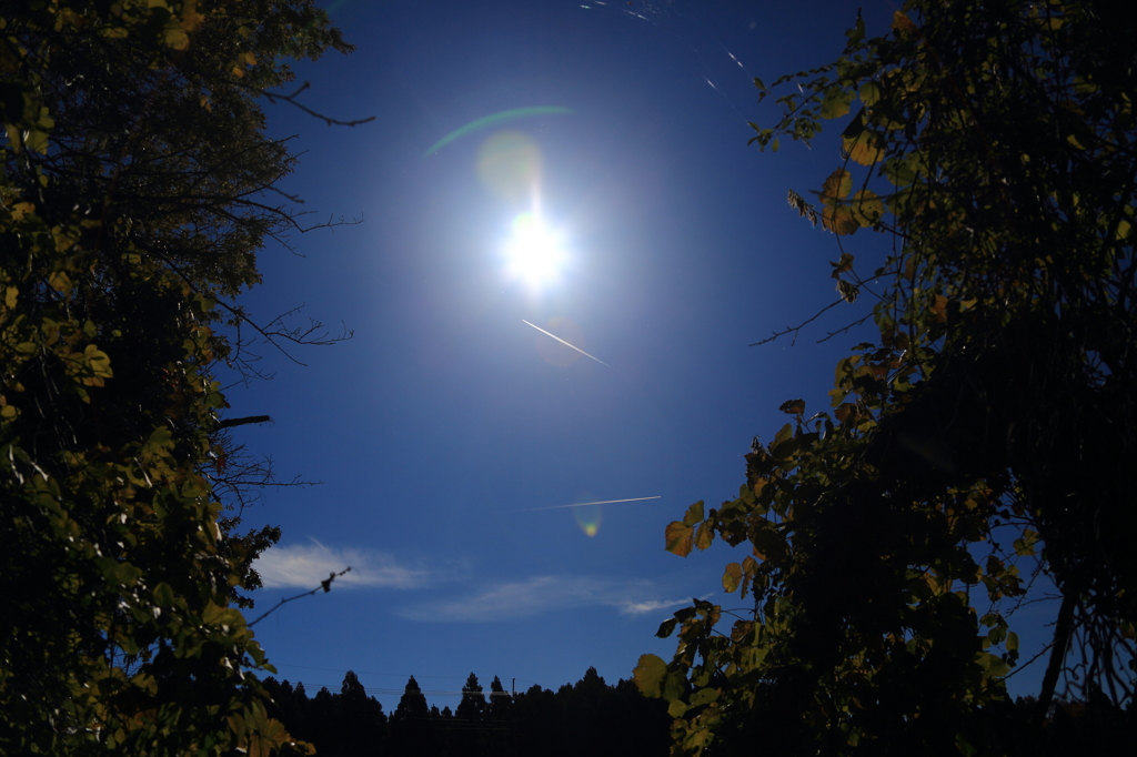 2012.11.25-20