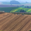 2014.8.24-6