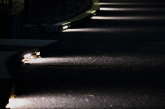 2012.9.1 遊歩道 2012.9.1 遊歩道