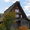 2015.10.25-31