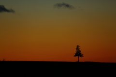 2014.8.26-46