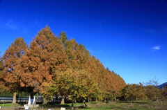 2012.11.25-13