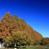 2012.11.25-13