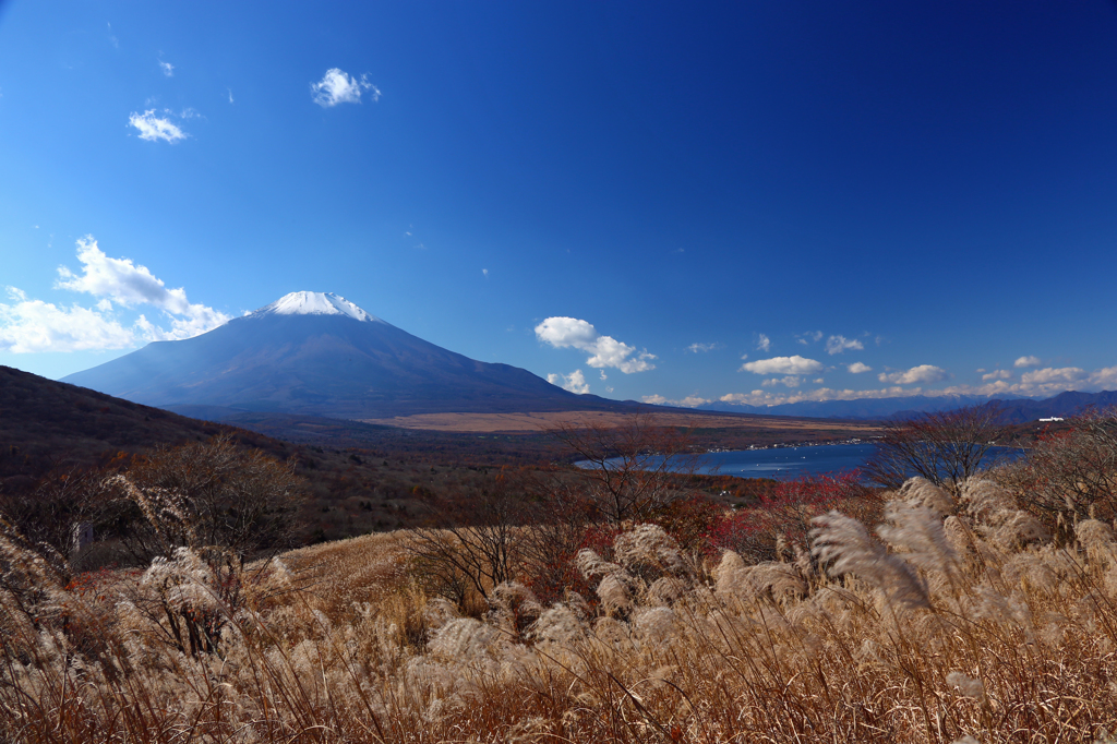 2014.11.15-12