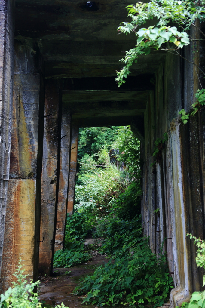 2012.8.15　土倉銅山跡４