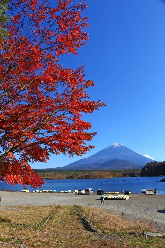 2014.11.15-14