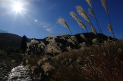 2012.11.25-17 2012.11.25-17