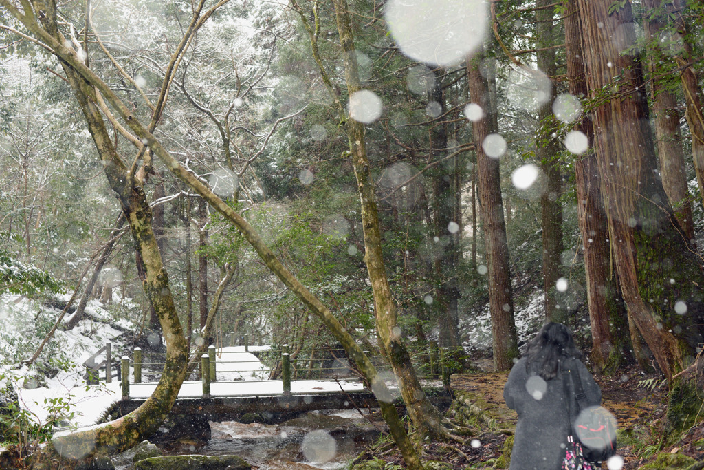 粉雪