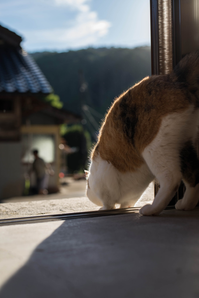 出陣