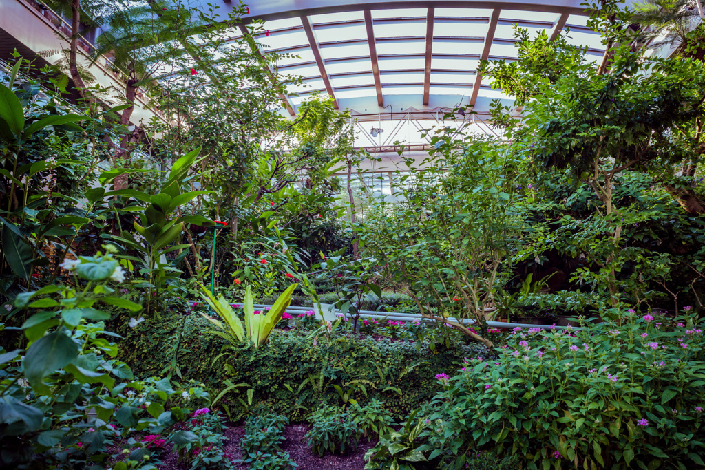 garden2