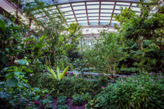 garden2