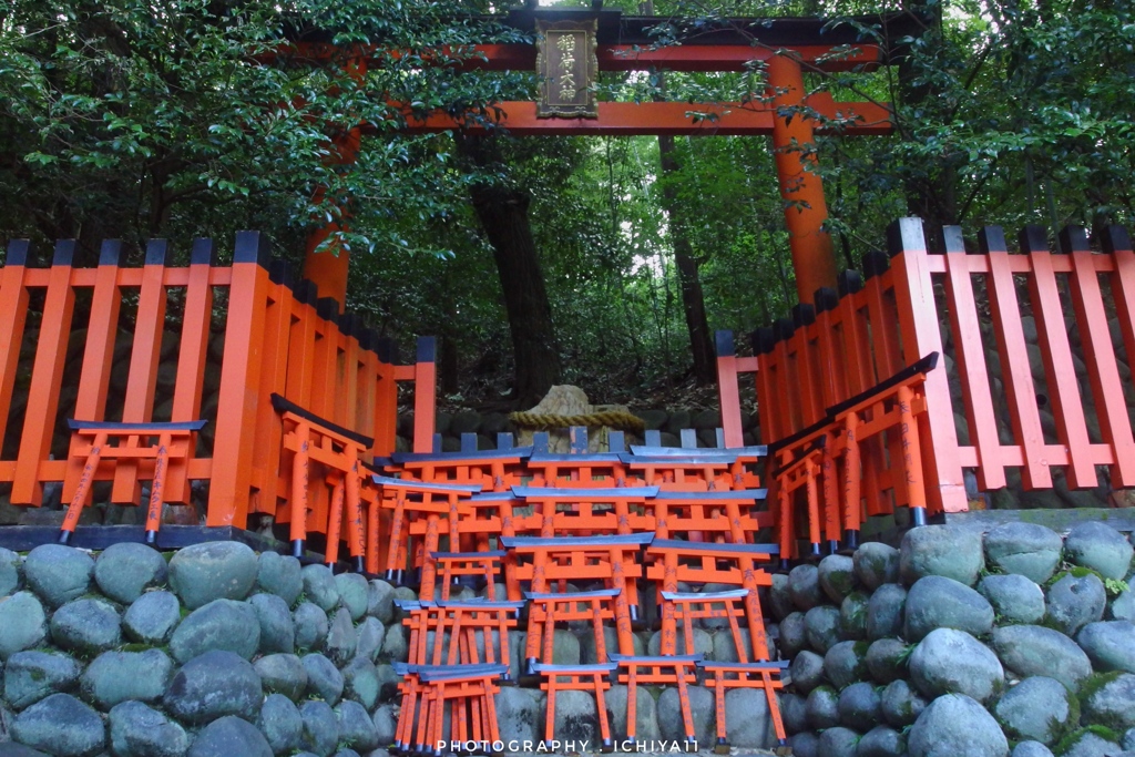 鳥居たちの集い