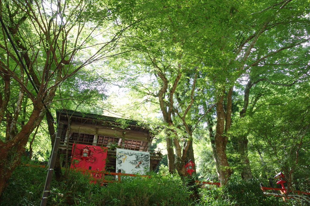 深緑の聖地　弐