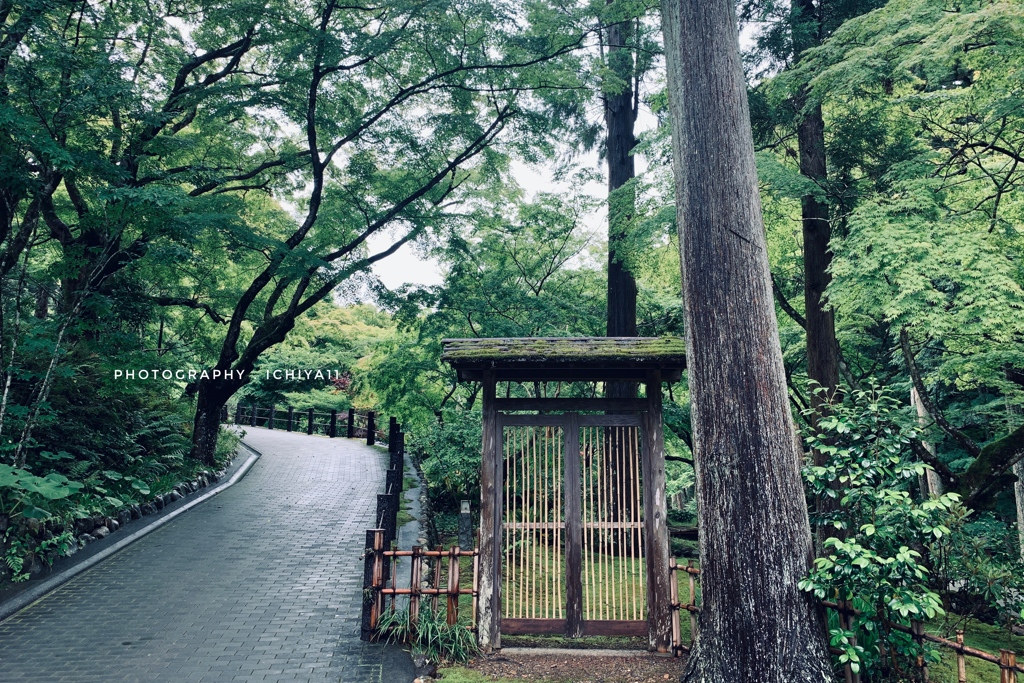 雨と静寂の法多山