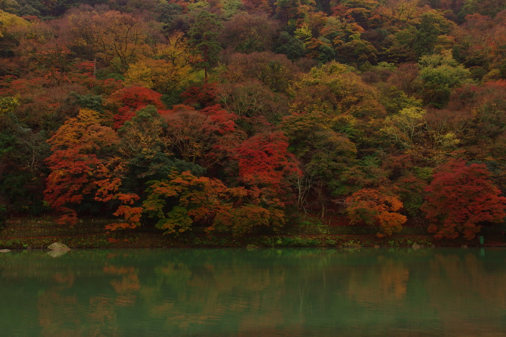 嵐山紅葉