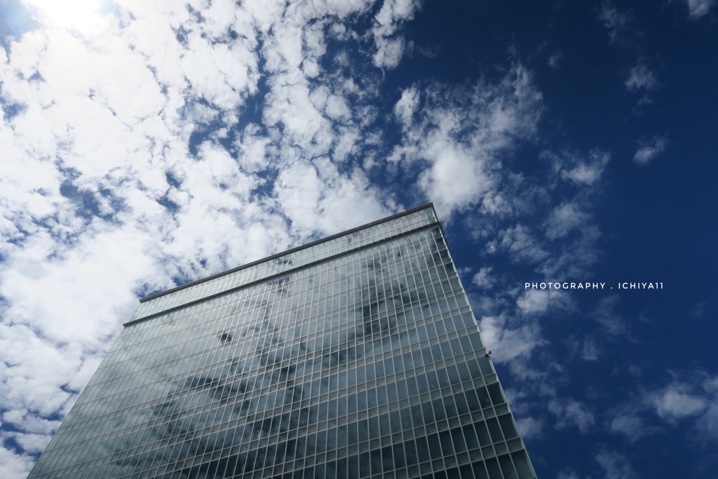 夏空のコントラスト