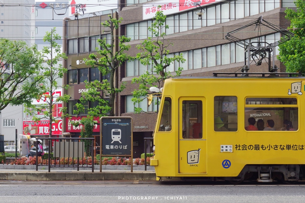 黄色い路面電車は旅のしるし