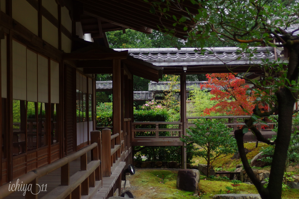 大覚寺の佇まい