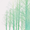 湖畔の幻想