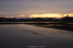 水田夕景