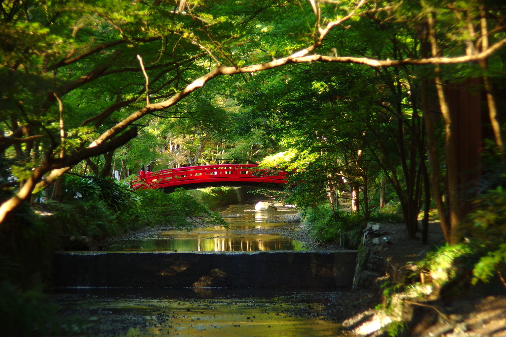 静寂の中の紅