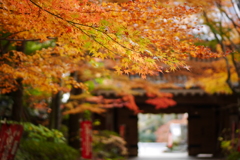 油山寺にて