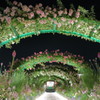 rose arch at night　-　IMG_2873