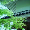 油山寺の片隅